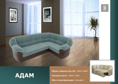 adam
