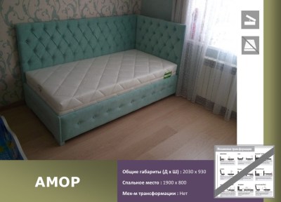 ammor